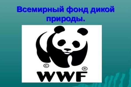 Всемирный фонд дикой природы WWF