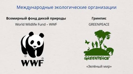 Международные экологические организации