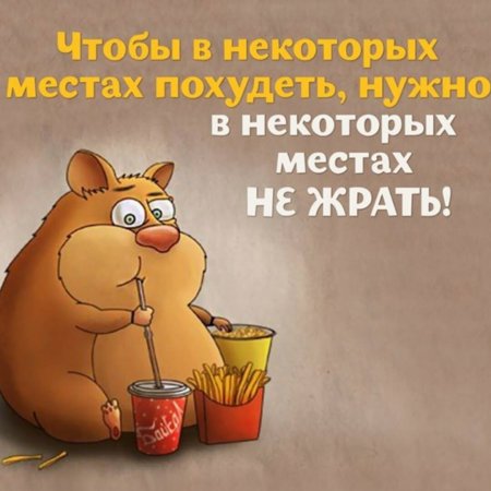 Обожрался картинки прикольные