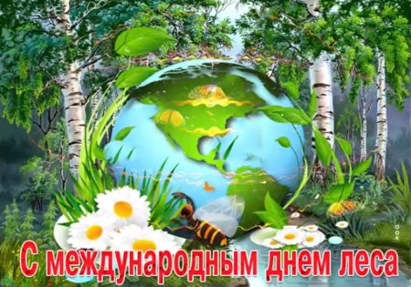 21 Марта Международный день лесов
