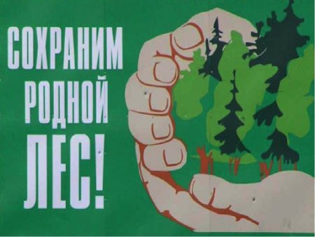 Акция день леса