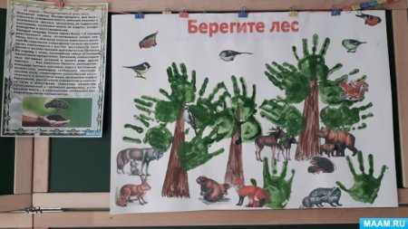 День леса в детском саду