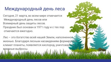 21 Марта Международный день лесов