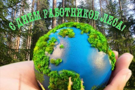 С днем работника леса