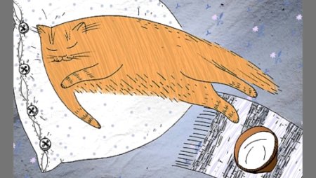 Всемирный день сна картинки