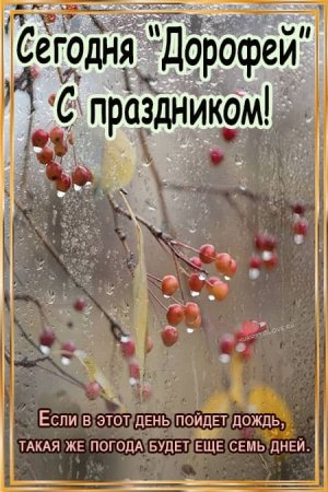 Картинка 16 сентября по народному календарю