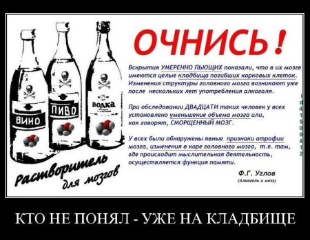 Цитаты про семью и алкоголь