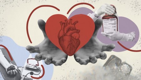 Переливание крови донорство