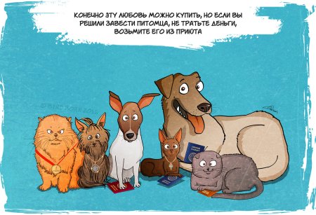 Юмористический рассказ про собаку