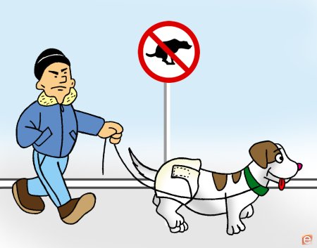 Выгул собак в неположенном месте