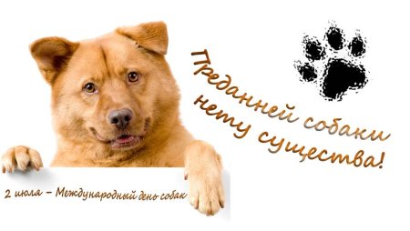 День собак открытки
