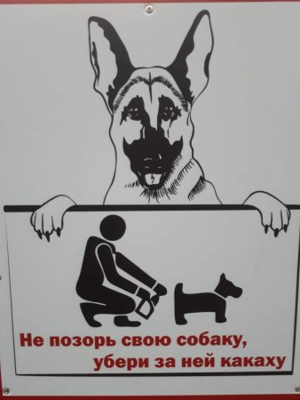 Таблички для собачников