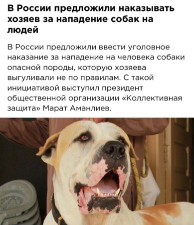 Наказание хозяина собаки напавшей на человека