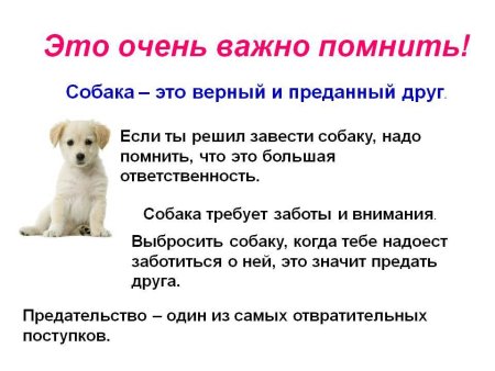 Рассказ про собаку 1 класс