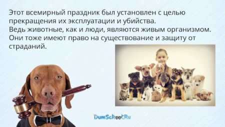 Презентация права животных