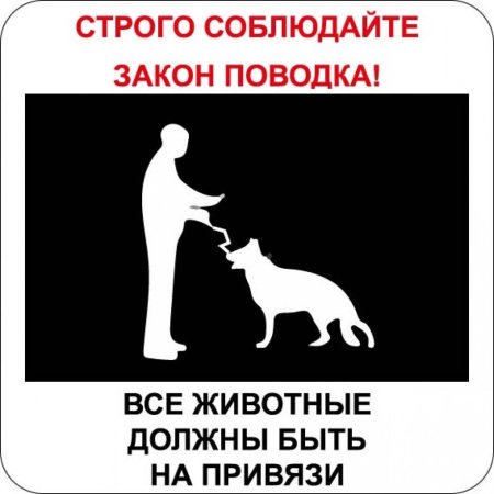 Объявление о привязи собак