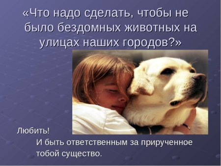 Высказывания о защите животных