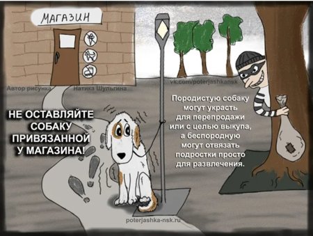 Не оставляйте собаку на привязи у магазина