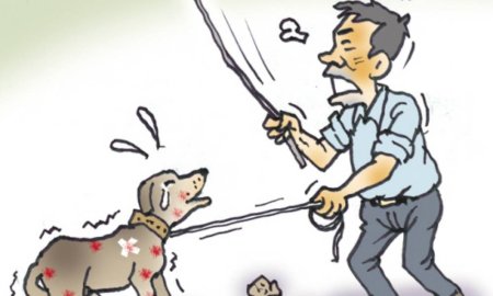 Человек бьет собаку палкой