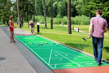 Shuffleboard игра