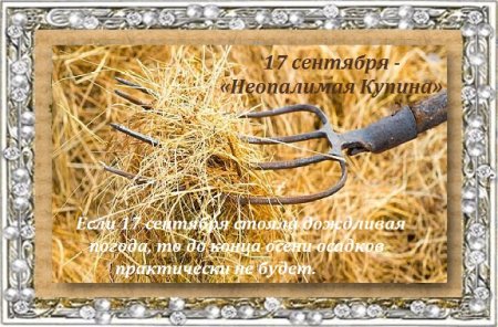 Праздник острых вил (Неопалимая Купина, Вавила - поздние вилы)