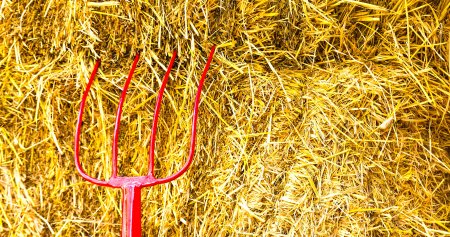 Вилы в стоге сена