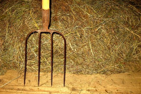 Старые деревянные вилы