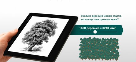 День электронной книги