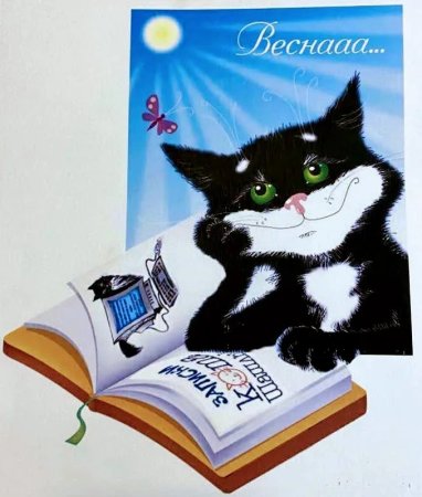 День кошек