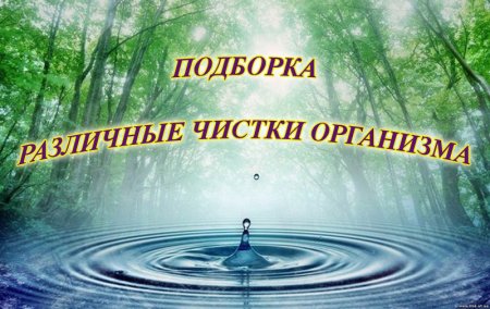 Всемирный день мониторинга воды 18 сентября