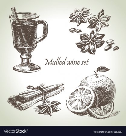 Специи для глинтвейна вектор