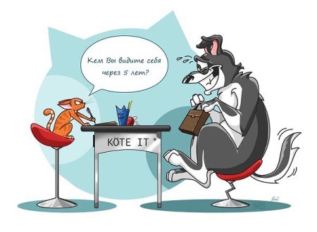 Шутки про HR