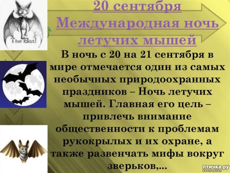 Международный день летучих мышей