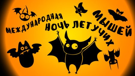 Всемирный день летучих мышей