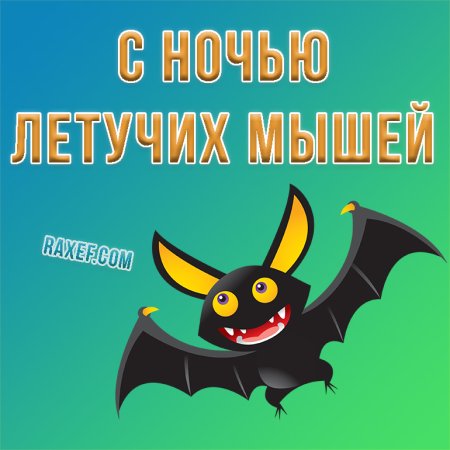 Международная ночь летучих мышей