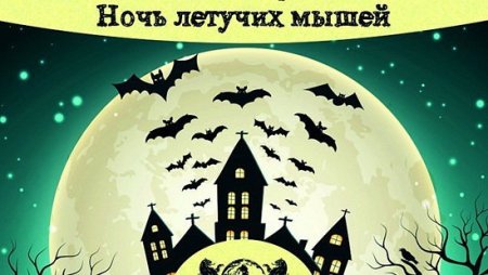 Международная ночь летучих мышей 20 сентября