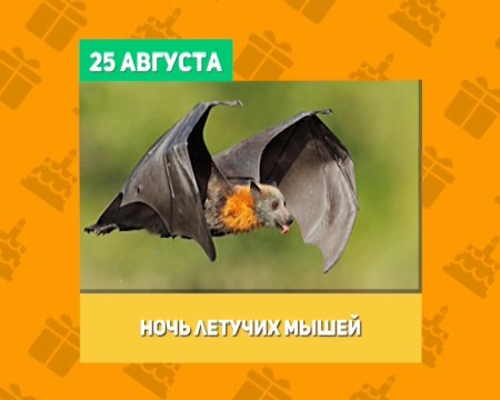 Международная ночь летучих мышей