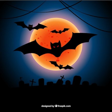 Halloween летучая мышь