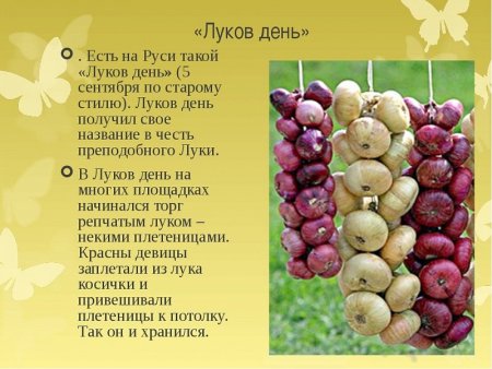 Народный праздник луков день