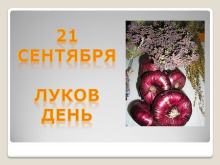День лука