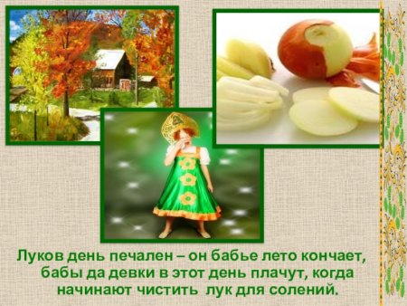 Луков день 20 сентября