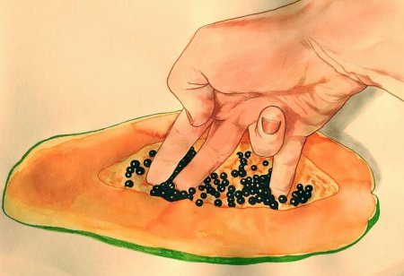 Фрида Кастелли Пенетрация