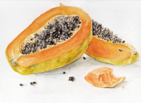 Папайя акварель