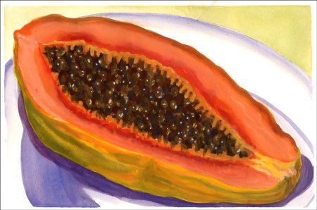 Папайя рисунок