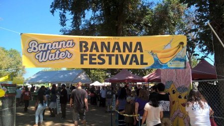 Фестиваль бананов на Филиппинах