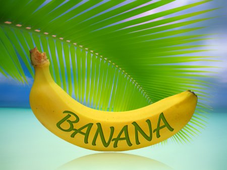 День любителей бананов