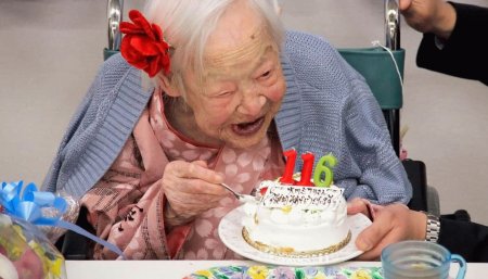 Веселый долгожитель