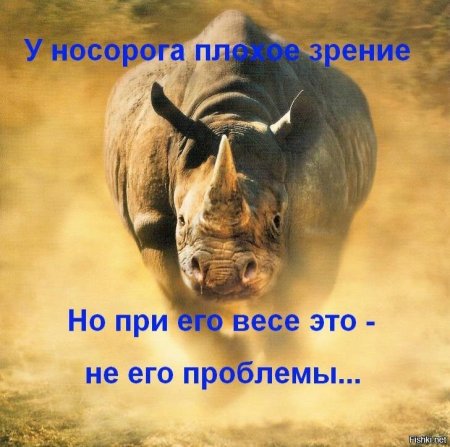 Всемирный день носорога