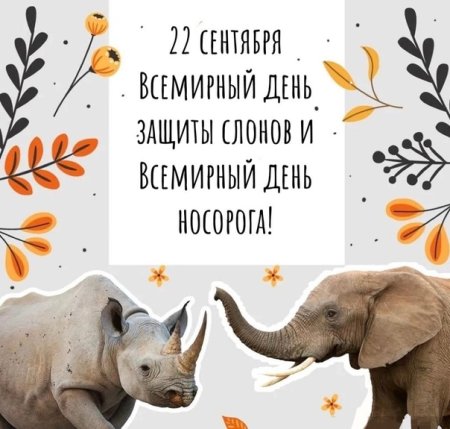 День защиты слонов 22 сентября