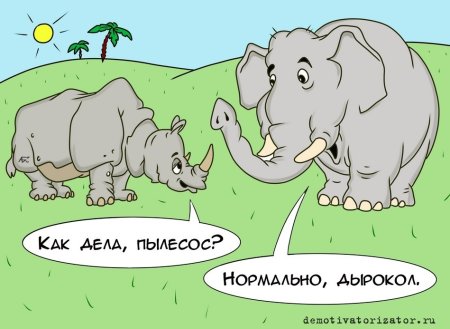 Поздравление с днём защиты слона